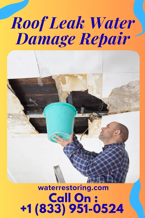 Roof Leak Water Damage Repair in Cushing, TX
