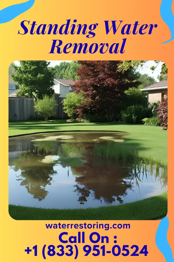 Standing Water Removal in Cushing, TX